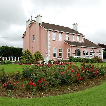 Ballingowan House Newcastle West Exterior foto