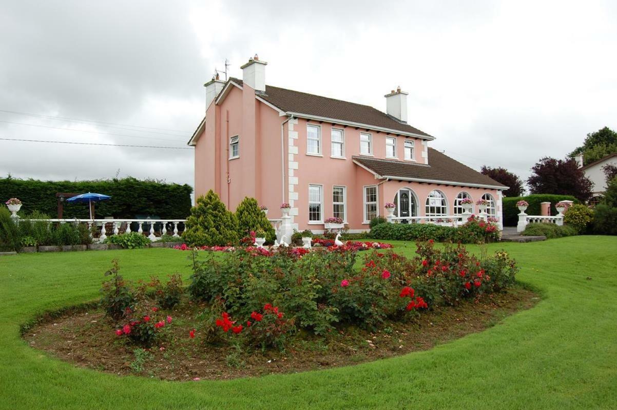 Ballingowan House Newcastle West Exterior foto